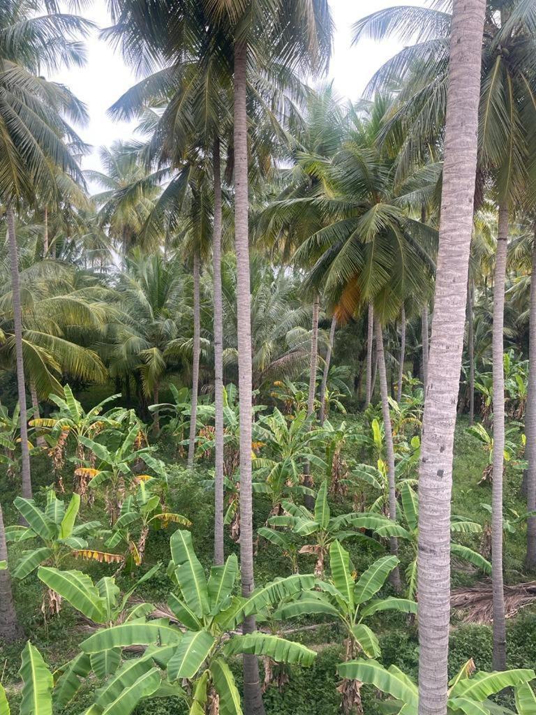 Madurai Home Stay Luaran gambar